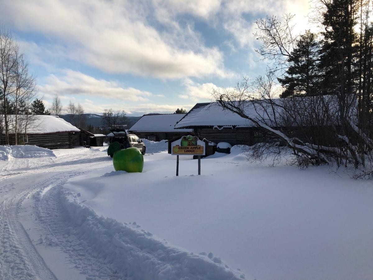 Beautiful 4-5 Persons Cottage In Alvdalen Blyberg Екстериор снимка