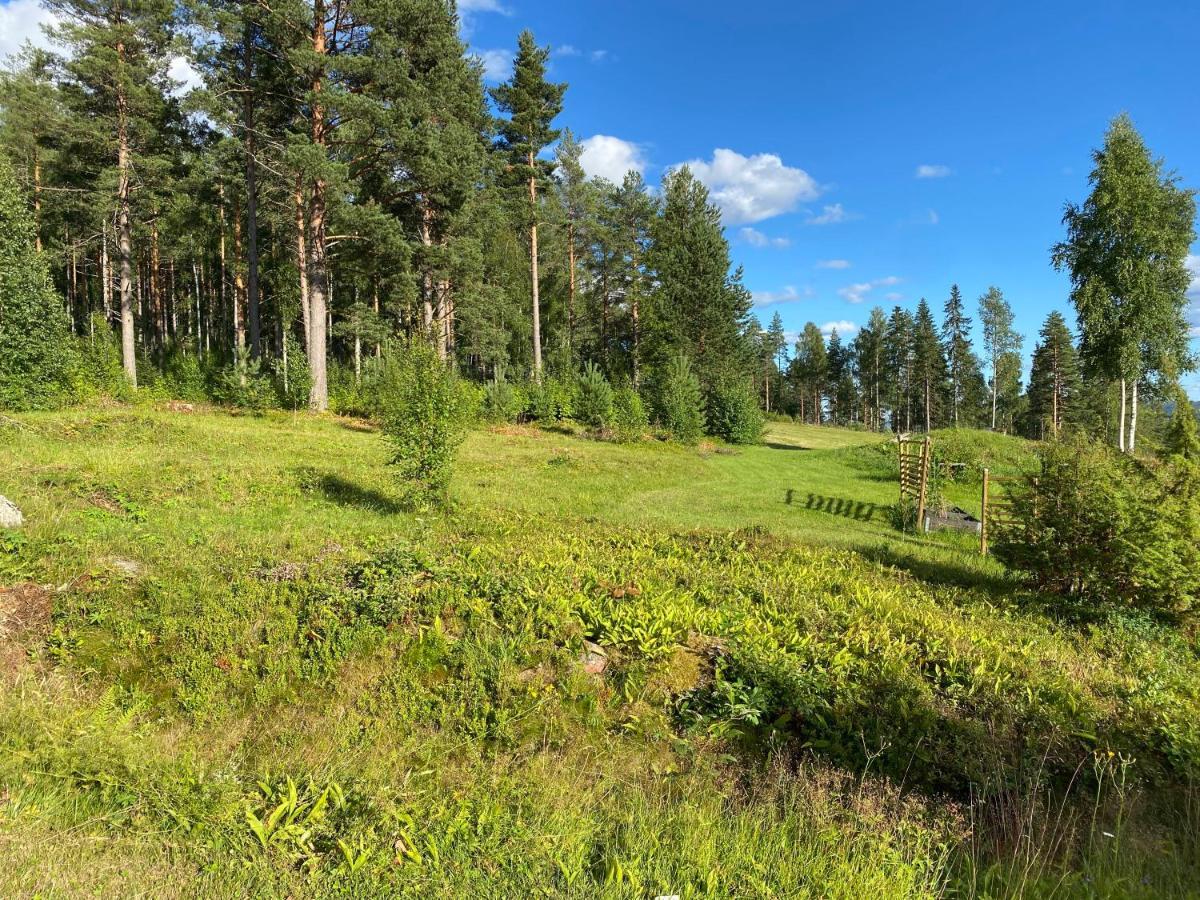 Beautiful 4-5 Persons Cottage In Alvdalen Blyberg Екстериор снимка