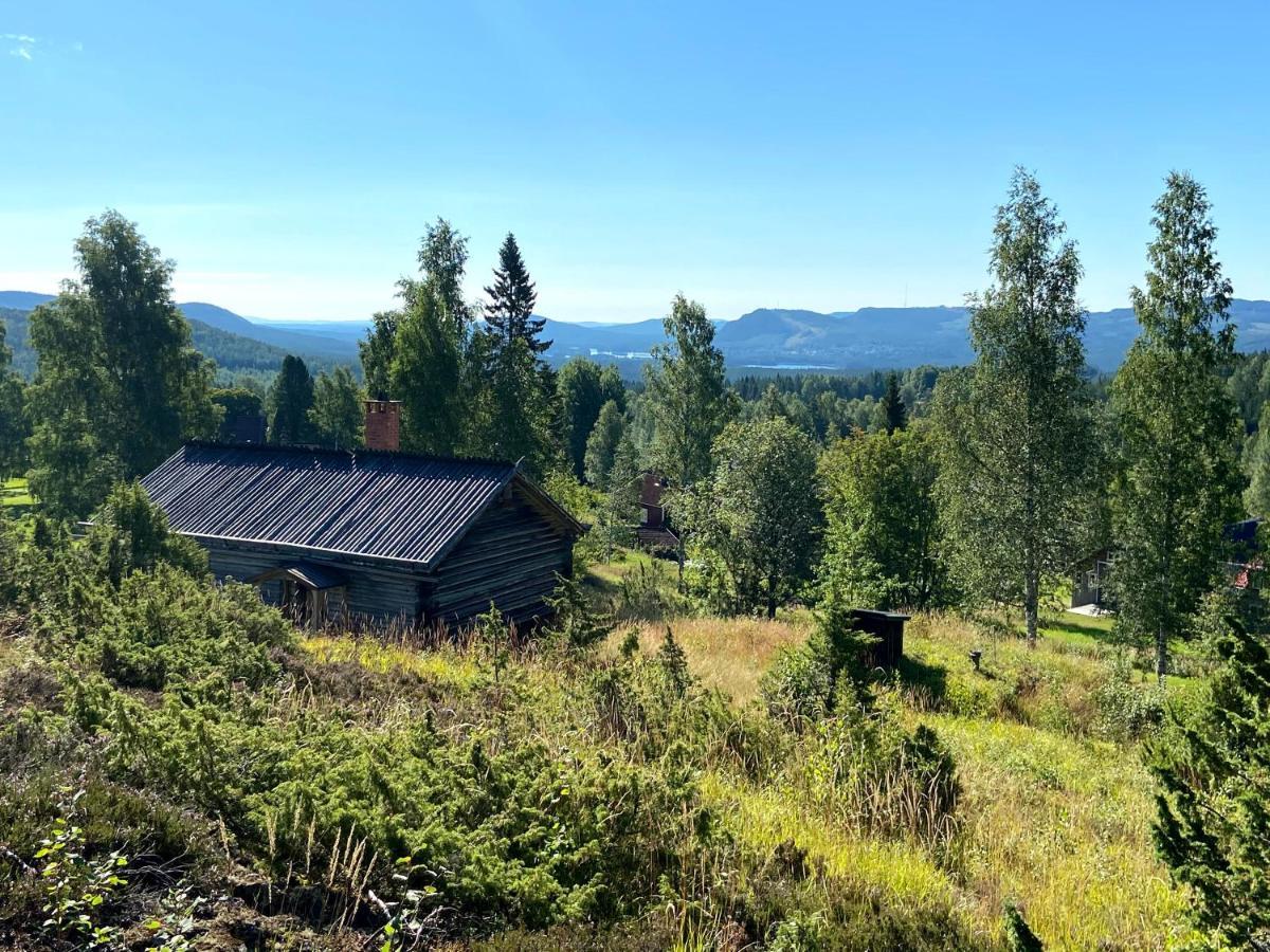 Beautiful 4-5 Persons Cottage In Alvdalen Blyberg Екстериор снимка